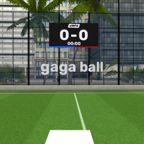 Arena Image