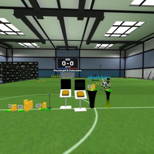 Arena Image