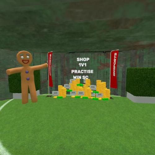 Arena Image