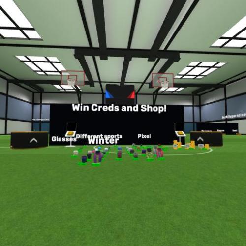 Arena Image