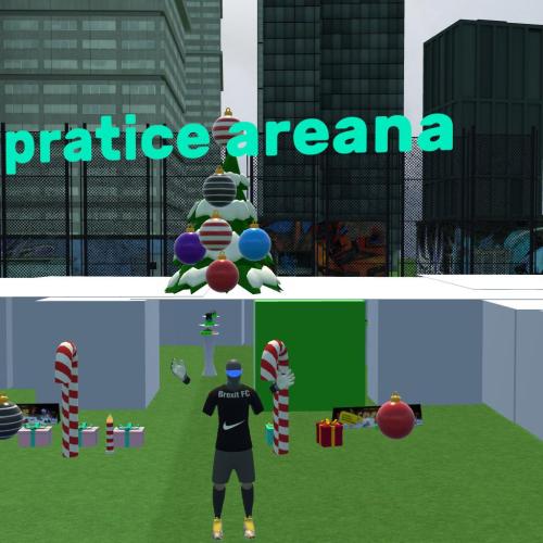 Arena Image