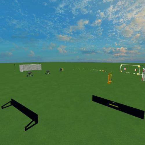 Arena Image