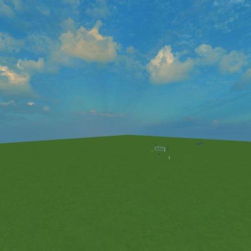 Arena Image