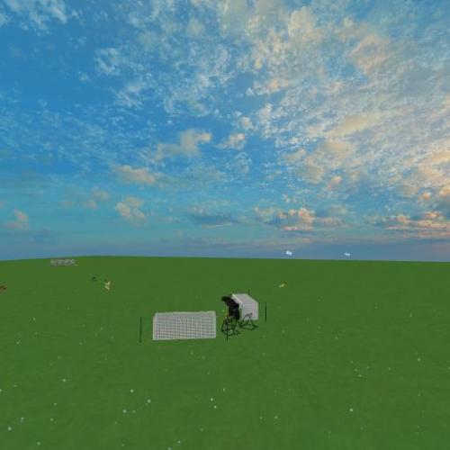 Arena Image
