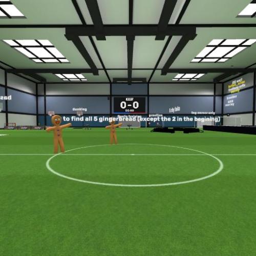 Arena Image