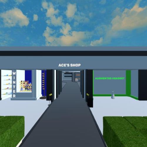 Arena Image