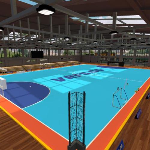 Arena Image