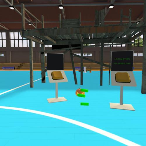 Arena Image
