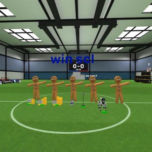 Arena Image
