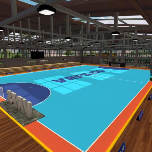 Arena Image