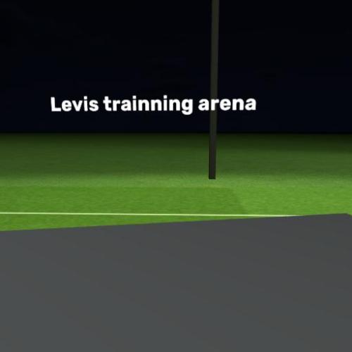 Arena Image