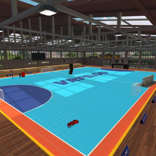 Arena Image