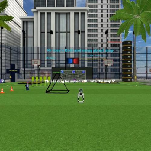 Arena Image