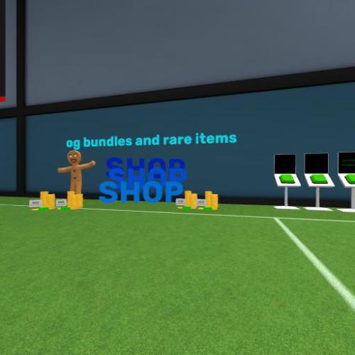 Arena Image