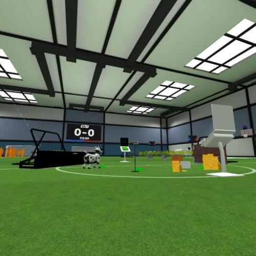 Arena Image