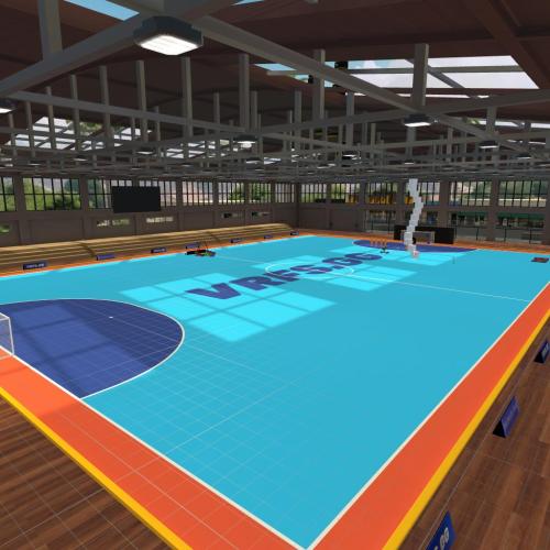 Arena Image