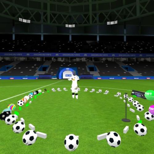 Arena Image