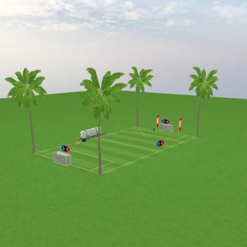 Arena Image