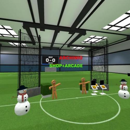 Arena Image