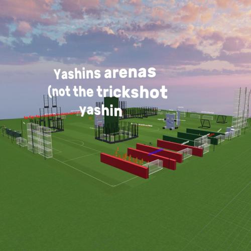 Arena Image