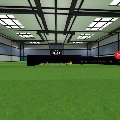 Arena Image