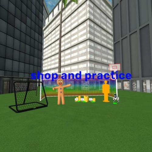 Arena Image