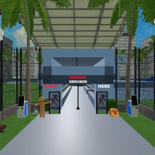 Arena Image