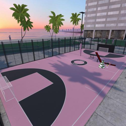 Arena Image