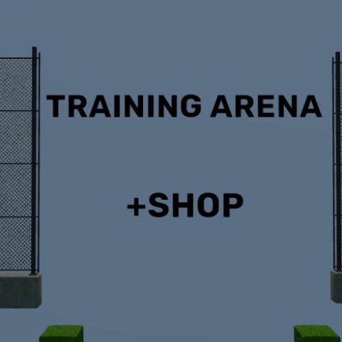Arena Image