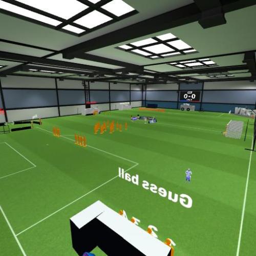 Arena Image