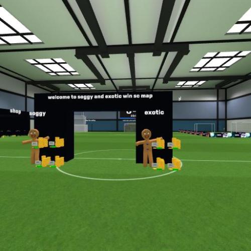 Arena Image