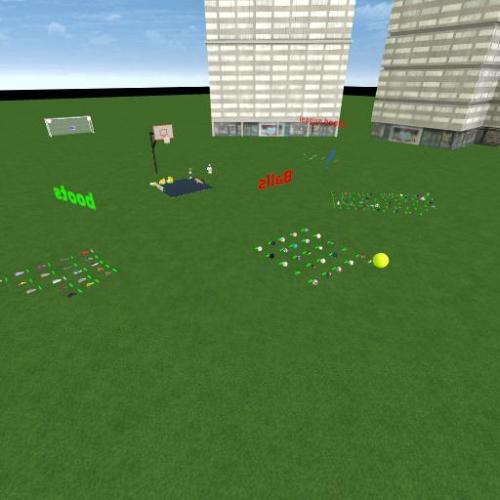 Arena Image
