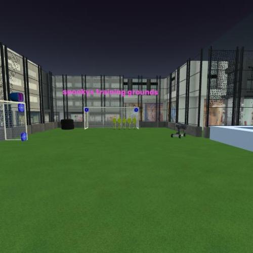 Arena Image