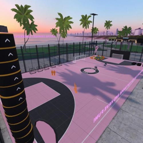 Arena Image