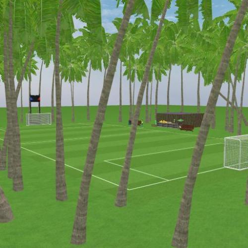 Arena Image