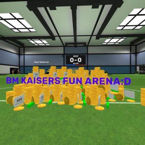 Arena Image