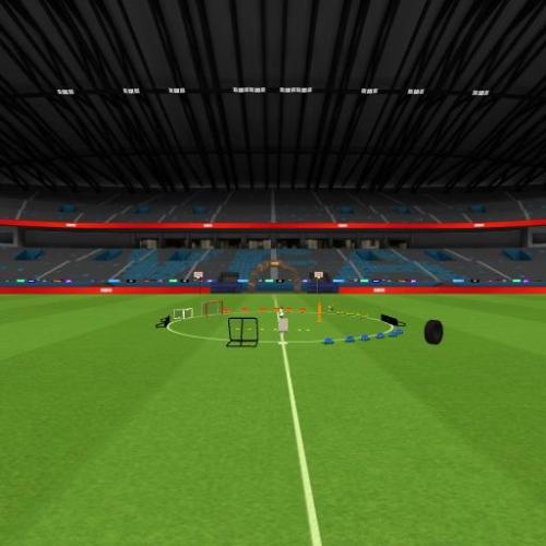 Arena Image