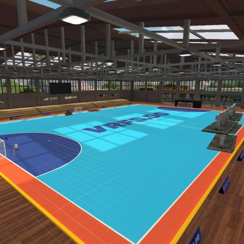 Arena Image