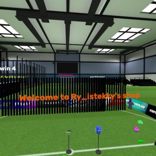 Arena Image