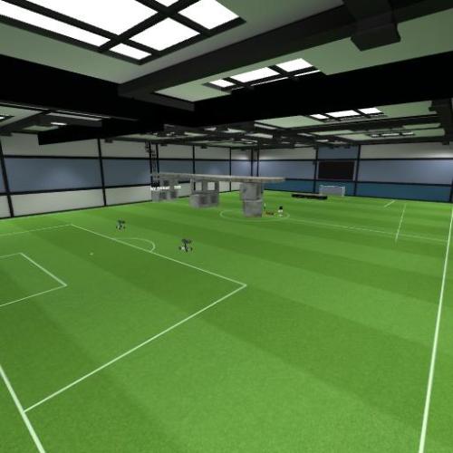 Arena Image