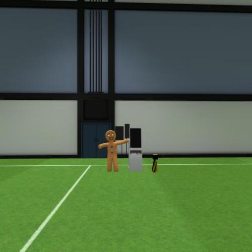 Arena Image