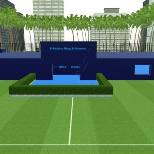 Arena Image