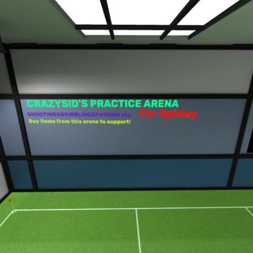 Arena Image