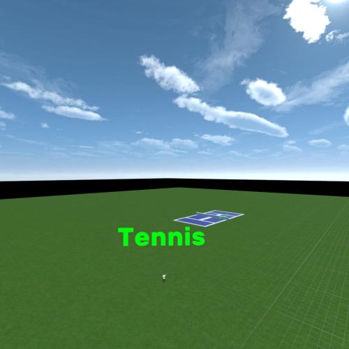 Arena Image
