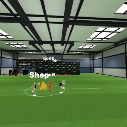Arena Image