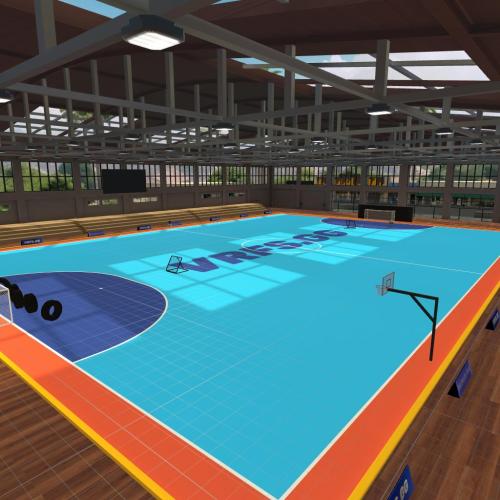 Arena Image