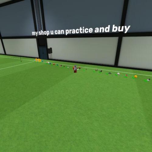 Arena Image