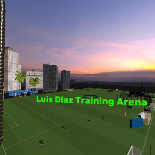 Arena Image