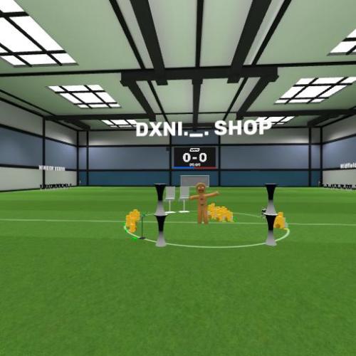 Arena Image