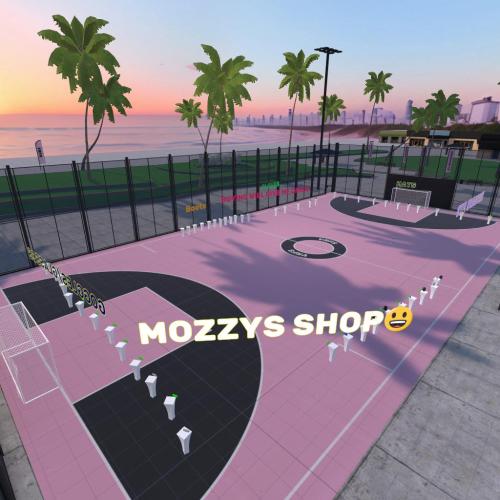 Arena Image